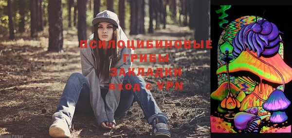 прущая мука Армянск