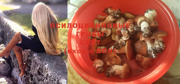 прущая мука Армянск