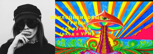 твердый Арсеньев