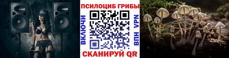 Псилоцибиновые грибы мицелий  дарнет шоп  Бирюч 